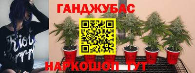 бошки Ирбит