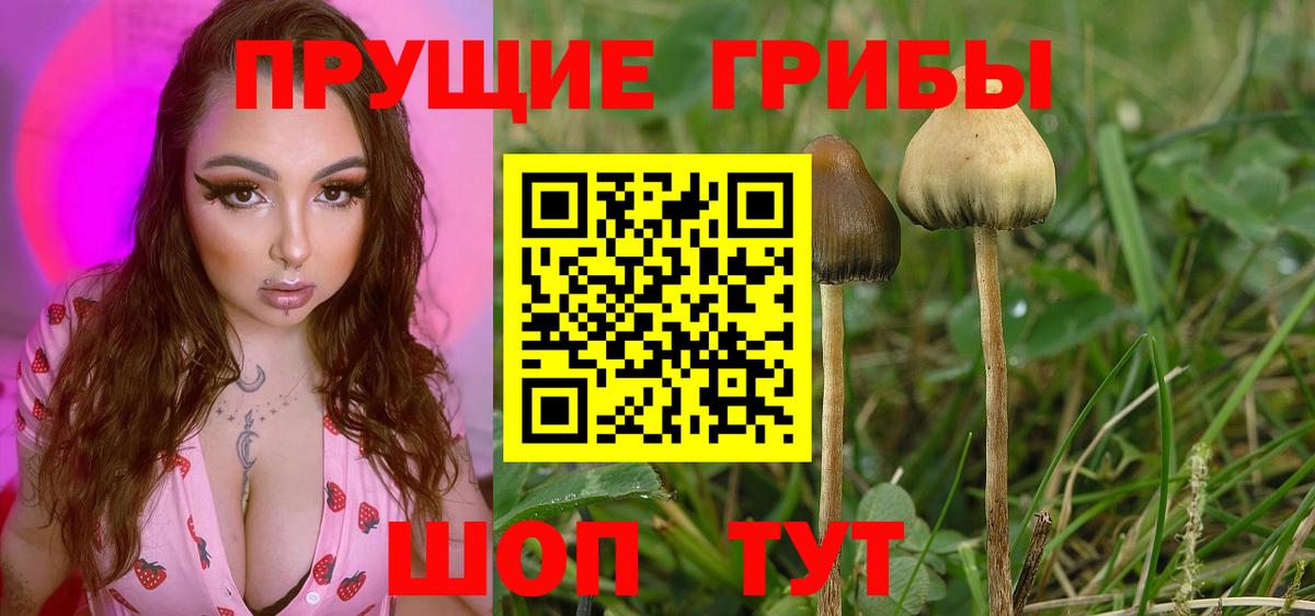 Псилоцибиновые грибы ЛСД Челябинск